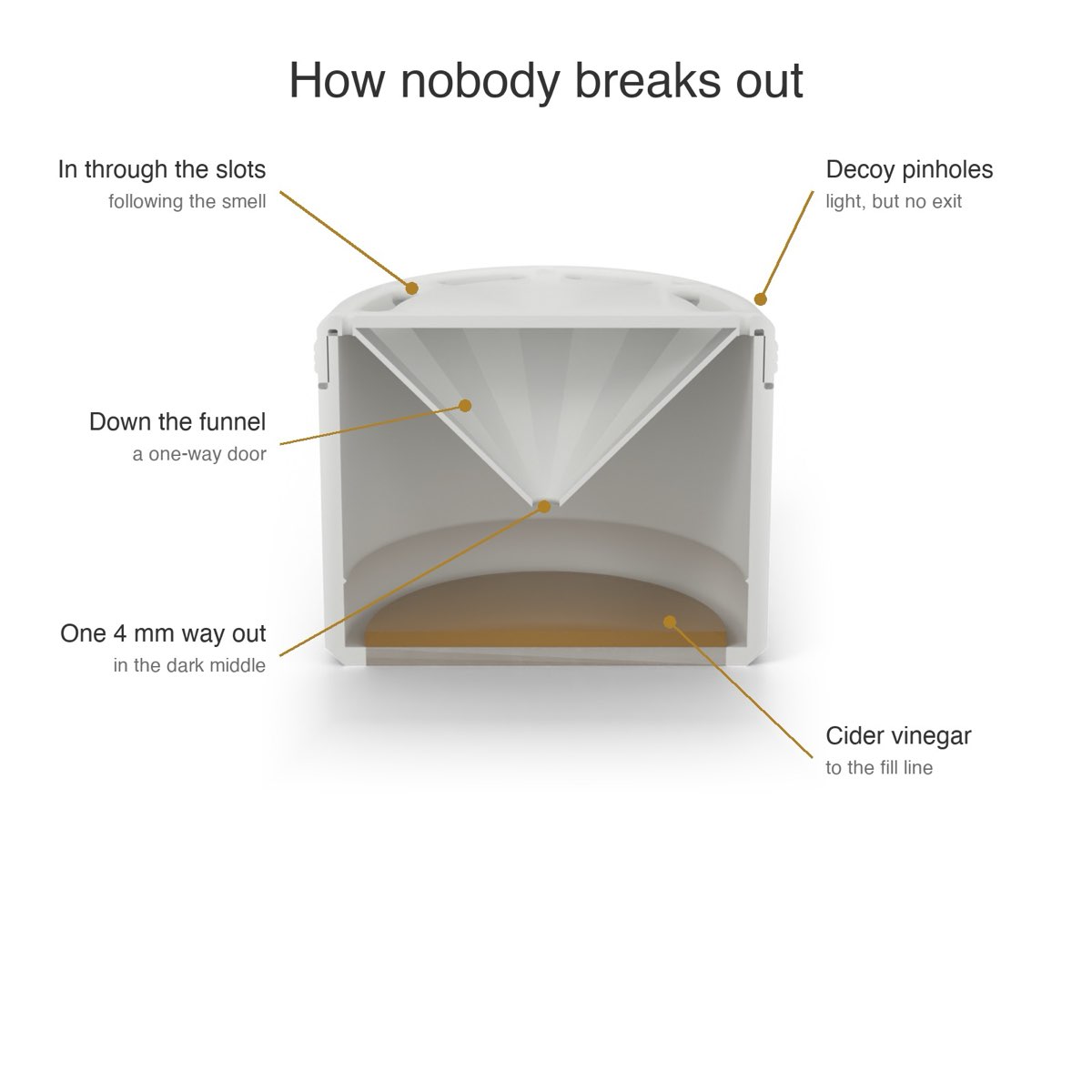 Cutaway drawing of a cup-shaped fruit fly trap: slots in the lid lead into a cone-shaped funnel, a single small hole at the funnel tip opens into the dark middle of the cup, decoy pinholes sit at the lid edge, and a layer of cider vinegar fills the bottom.